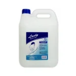 Mydło w Płynie LADY 5L antybakteryjne